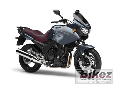 2010 Yamaha TDM 900A rated