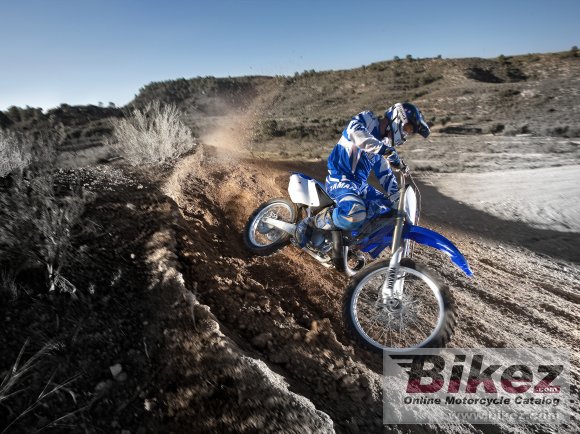 2011 Yamaha YZ250