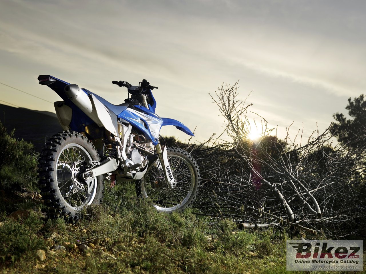 Yamaha WR450F