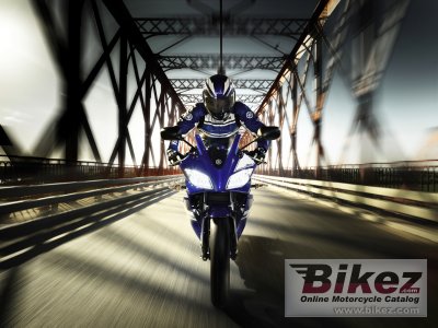 2011 Yamaha YZF-R125