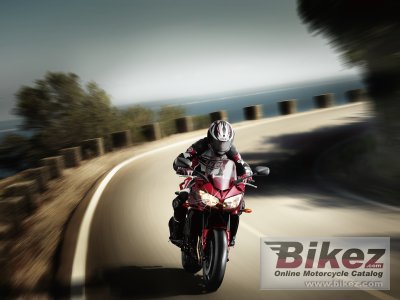 2011 Yamaha FZ1 Fazer