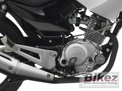 2011 Yamaha YBR125