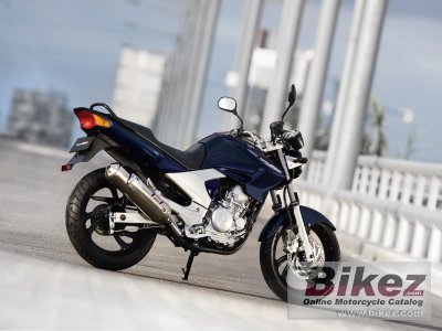 2011 Yamaha YBR250