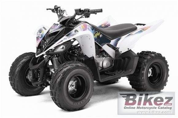 2011 Yamaha Raptor 90