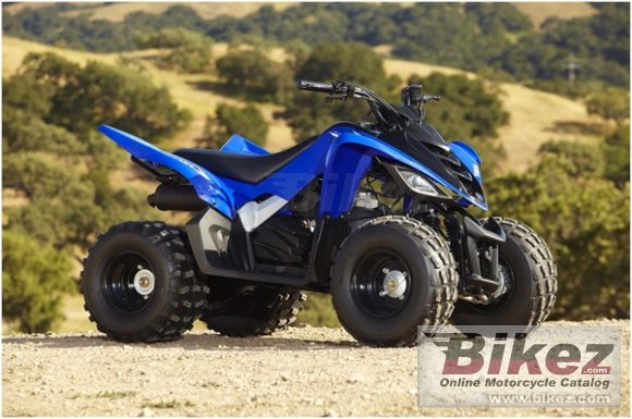 2011 Yamaha Raptor 90