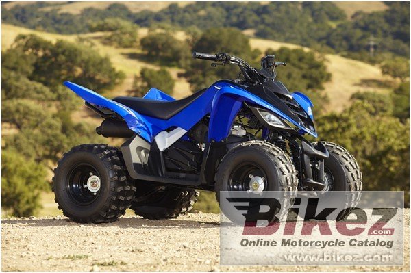 Yamaha Raptor 90