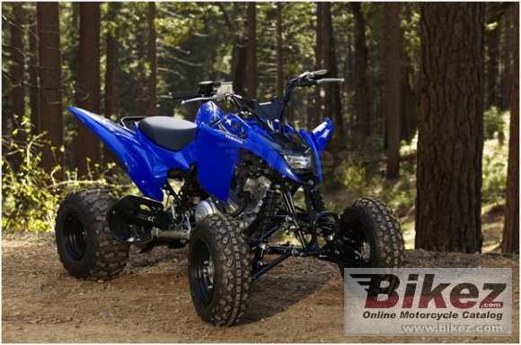 2011 Yamaha Raptor 125