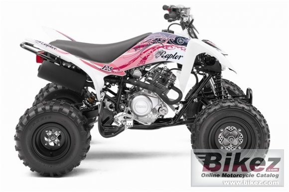 2011 Yamaha Raptor 125