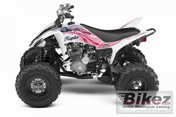 2011 Yamaha Raptor 250