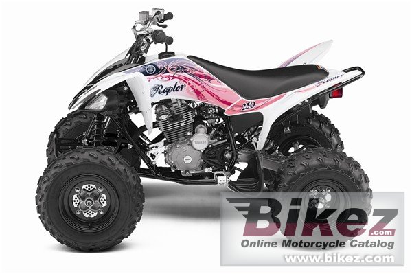 Yamaha Raptor 250