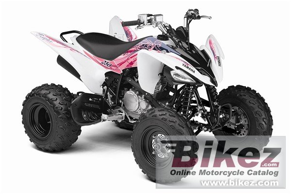 Yamaha Raptor 250