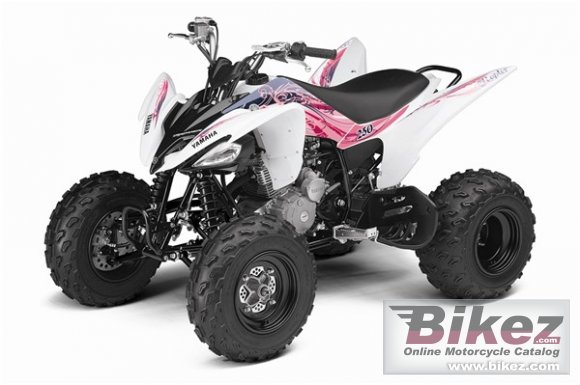 2011 Yamaha Raptor 250