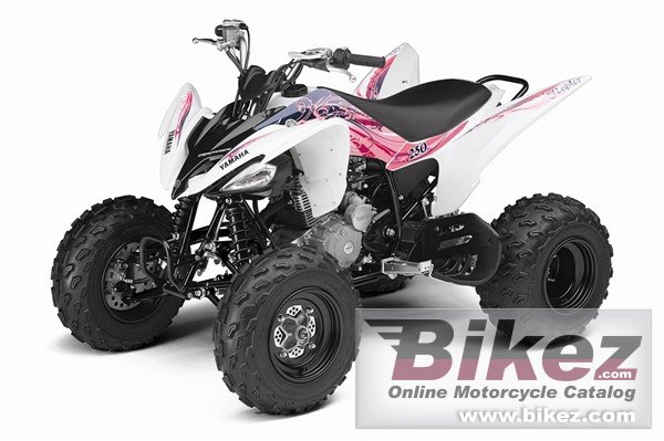 Yamaha Raptor 250