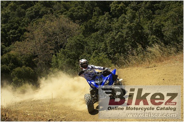 Yamaha Raptor 250