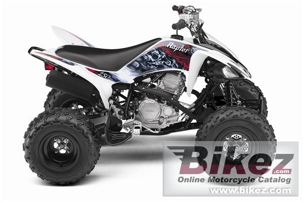 Yamaha Raptor 250