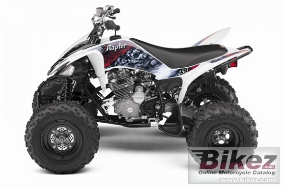 2011 Yamaha Raptor 250