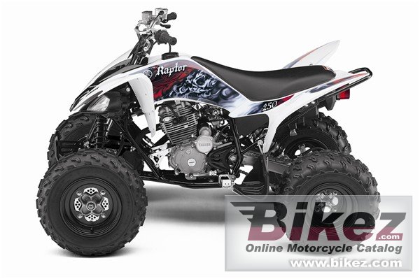 Yamaha Raptor 250