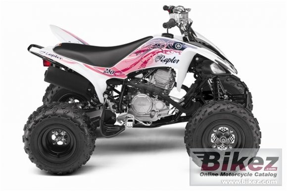 2011 Yamaha Raptor 250