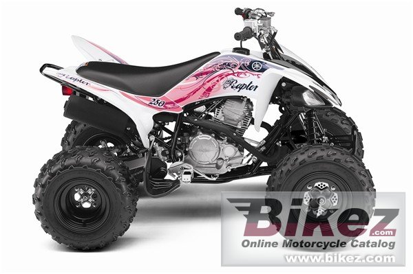 Yamaha Raptor 250