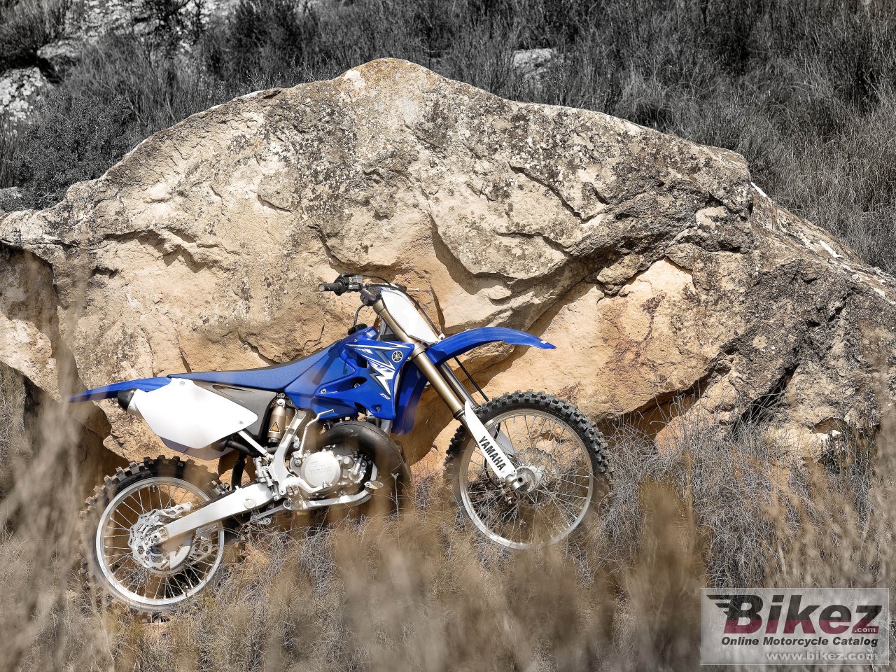 Yamaha YZ250