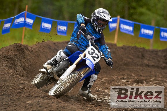 2012 Yamaha YZ85