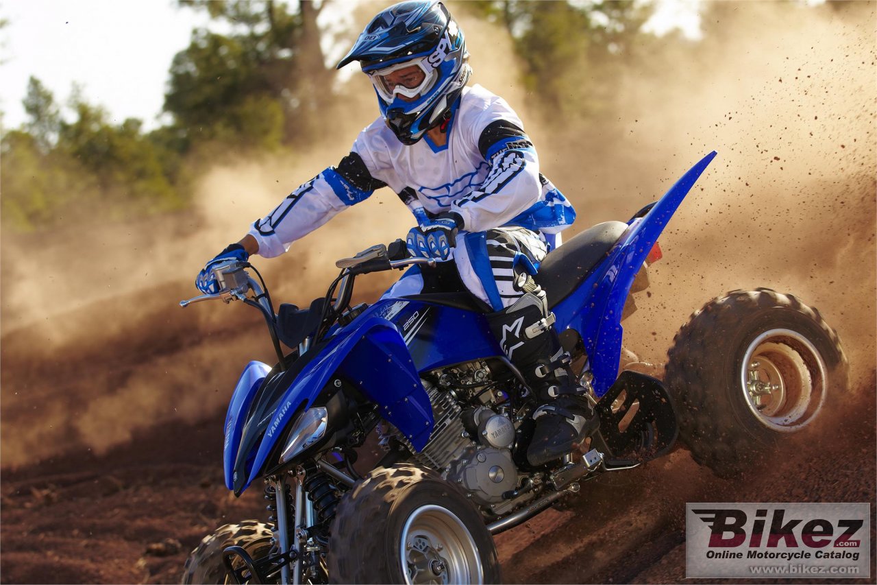 Yamaha Raptor 250