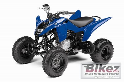 2012 Yamaha Raptor 125