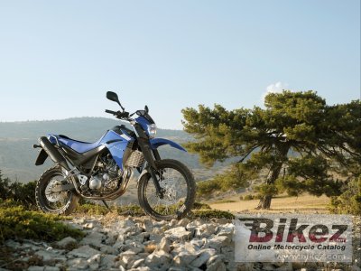2012 Yamaha XT660R