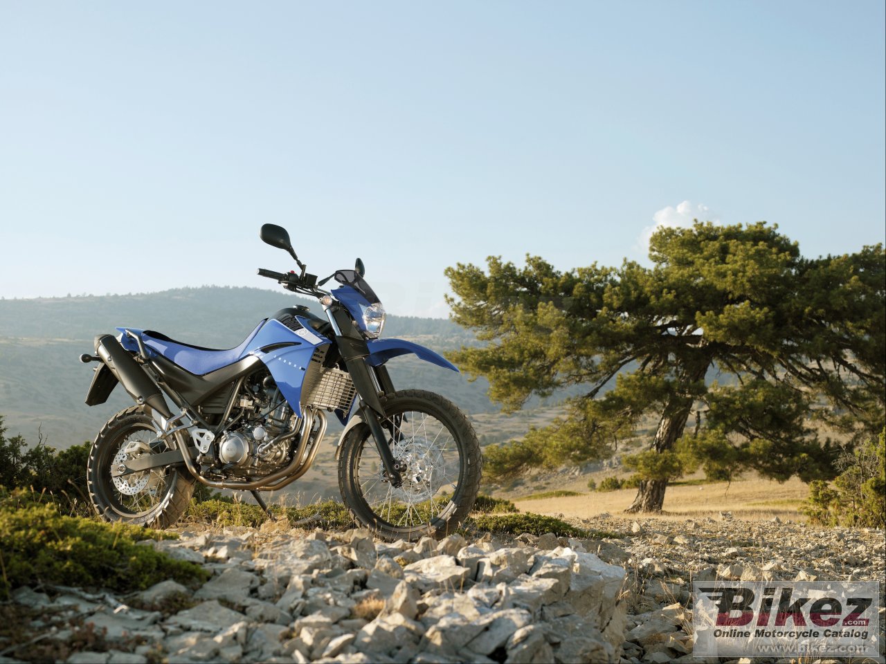 Yamaha XT660R