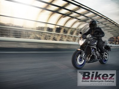 2013 Yamaha FZ8