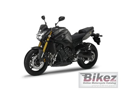2013 Yamaha FZ8