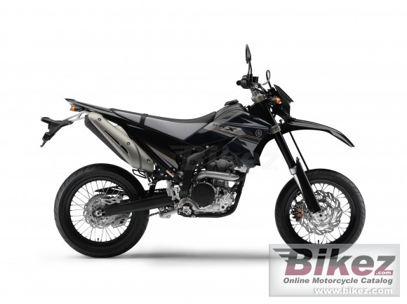 2013 Yamaha WR250X