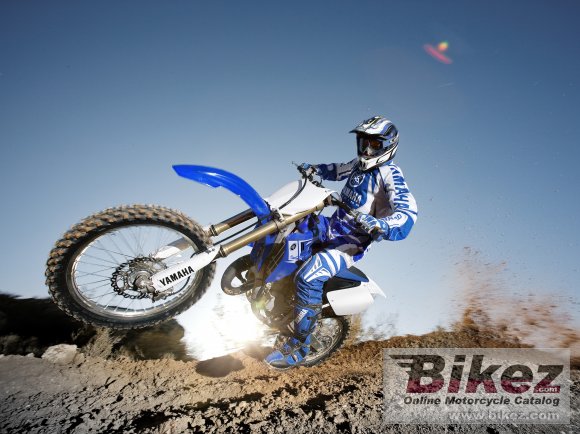 2013 Yamaha YZ125