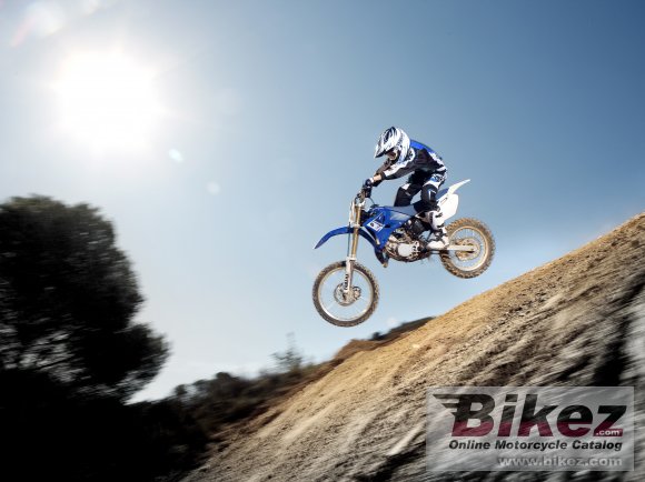 2013 Yamaha YZ85