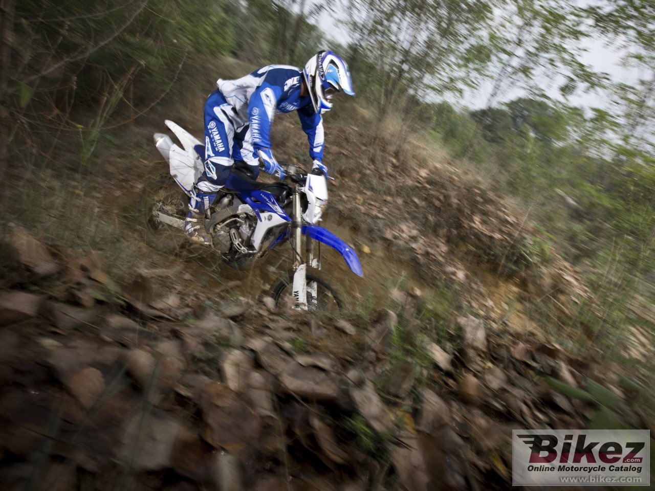 Yamaha WR450F