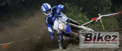2013 Yamaha WR450F