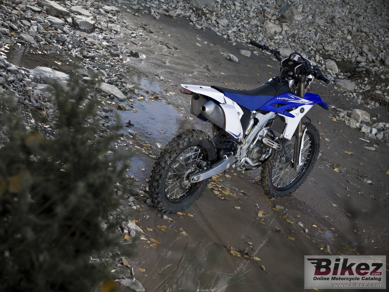 Yamaha WR450F