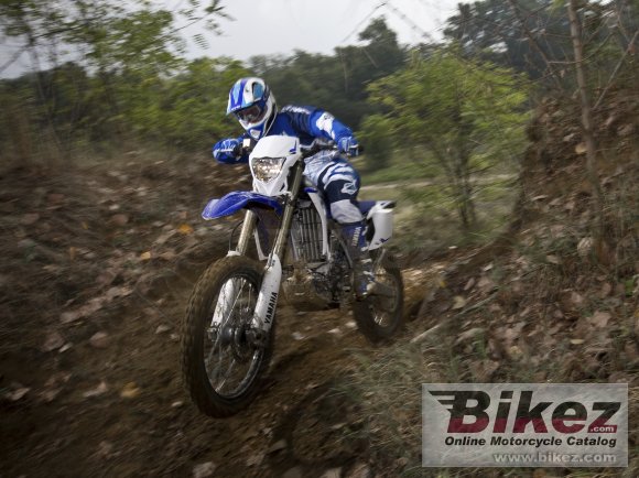 2013 Yamaha WR450F