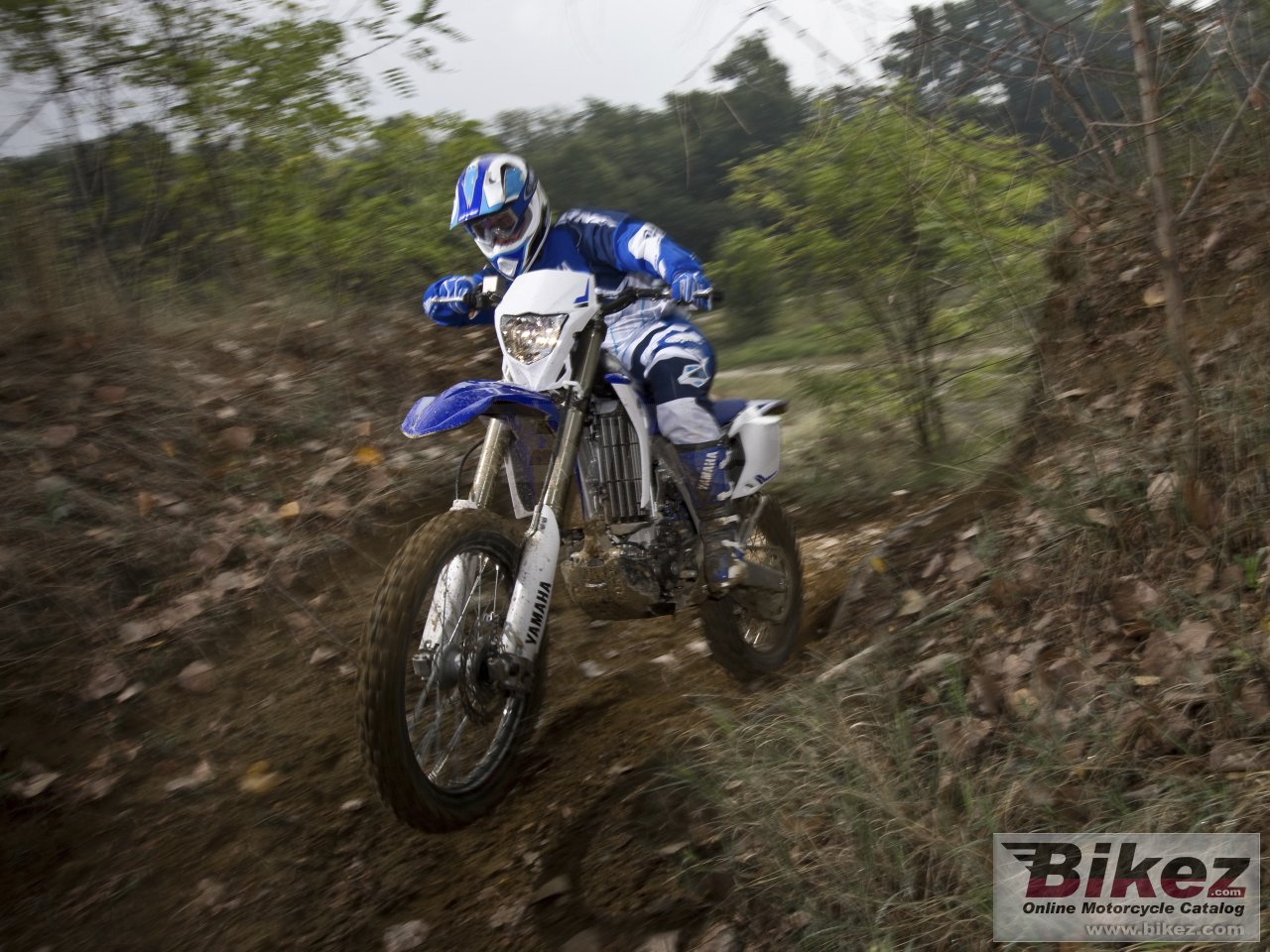 Yamaha WR450F