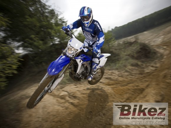 2013 Yamaha WR450F