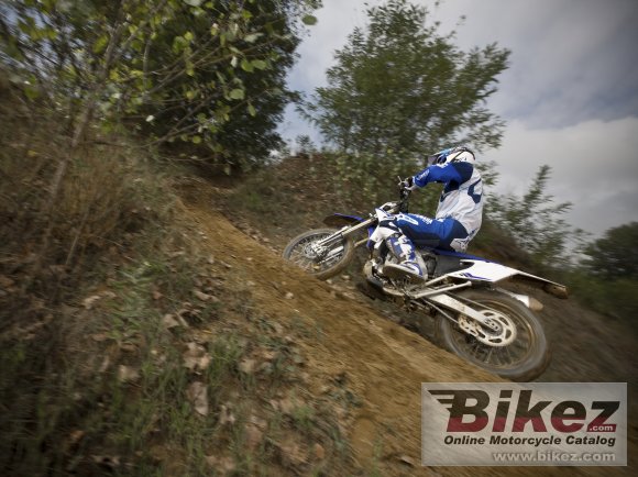 2013 Yamaha WR450F