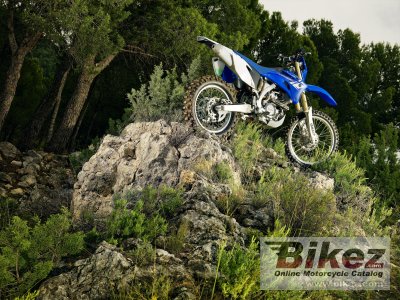 2013 Yamaha WR250F