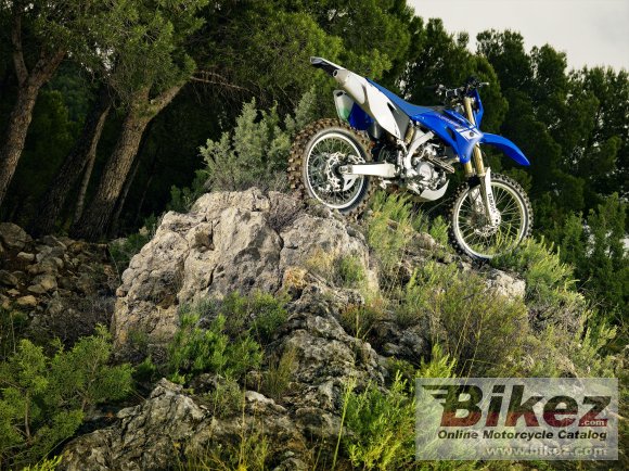 2013 Yamaha WR250F