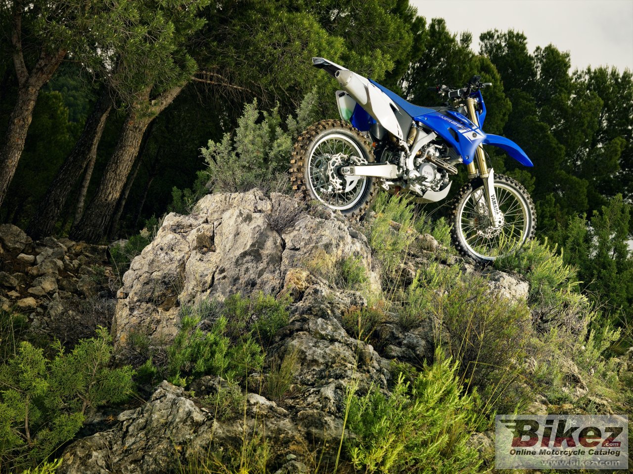 Yamaha WR250F