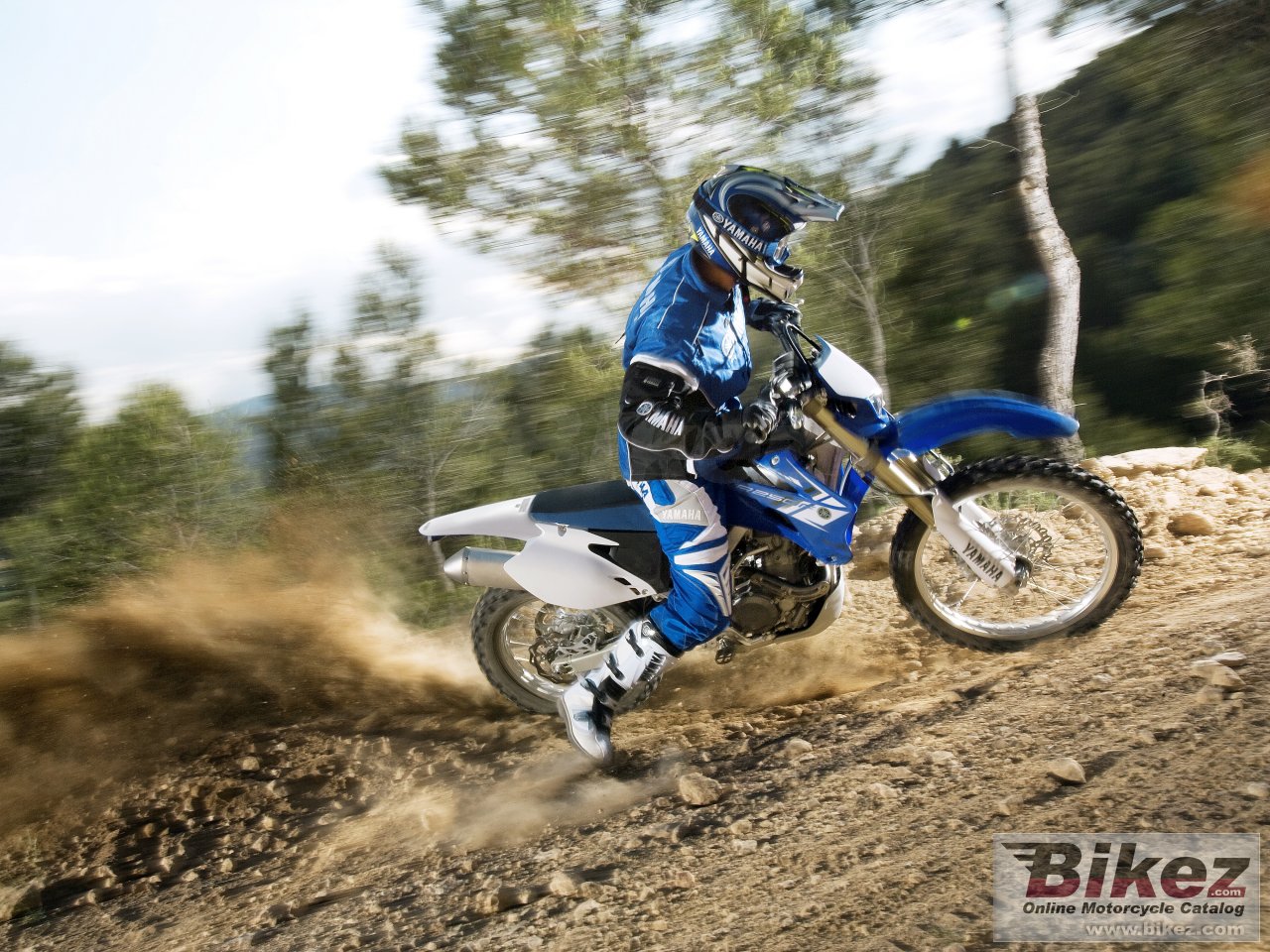 Yamaha WR250F