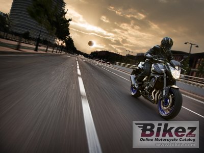 2013 Yamaha FZ8N ABS