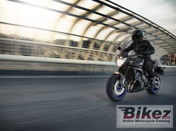 2013 Yamaha FZ8N ABS