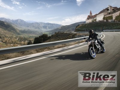 2013 Yamaha FZ8N ABS