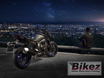 2013 Yamaha FZ8N ABS