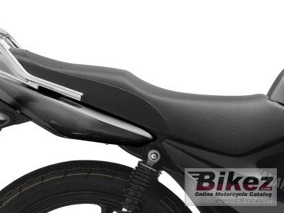 2013 Yamaha YBR125